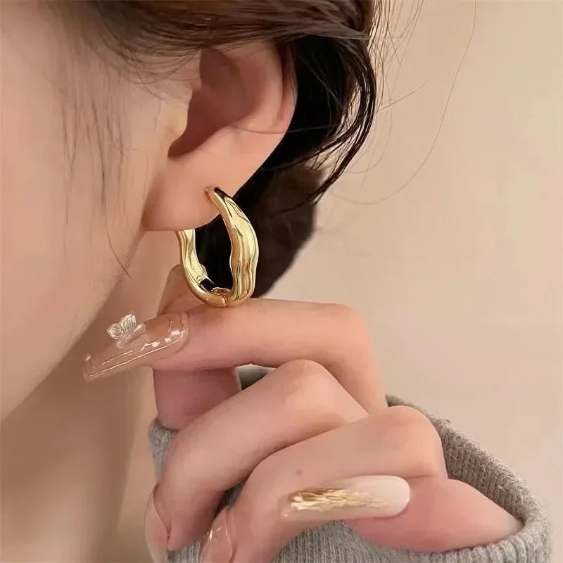 Vintage Silver Plated Stainless Steel Irregular Hoop Earrings - LaVie Jewelery