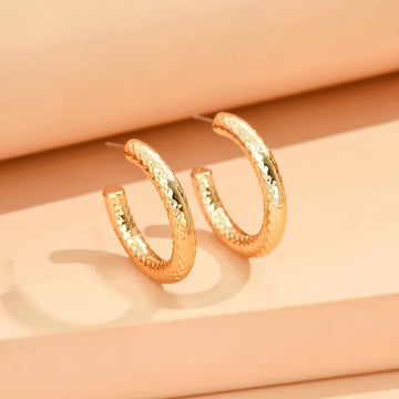 Classic Gold Silver Earrings - LaVie Jewelery